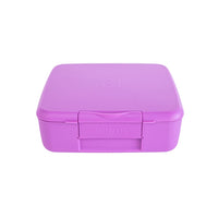 Montii Feast Lunchbox - Fuchsia - Montii Leakproof Lunchbox NZ