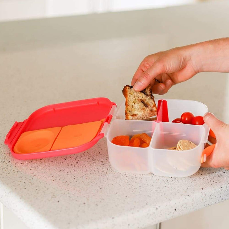 mini lunch box for kids with